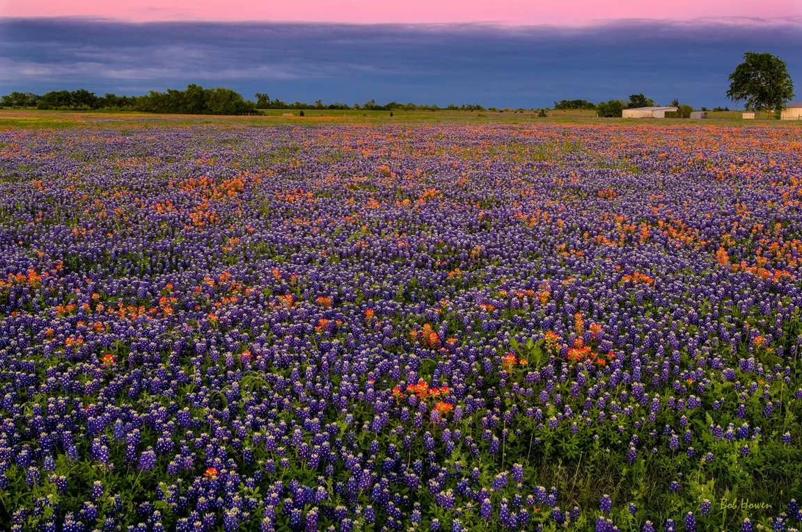 Hill Country Spring, Courtesy of Bob Howen Photography