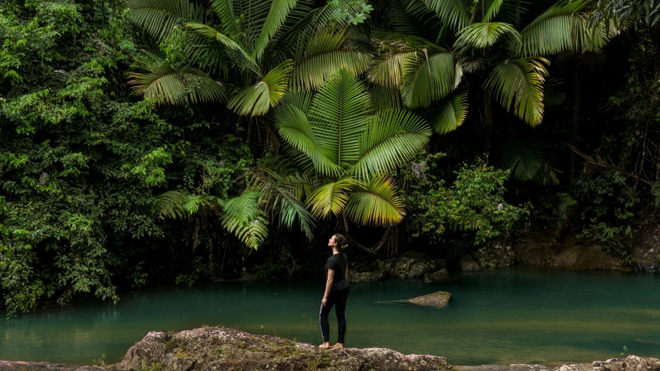 A person surrounded by tropical foliage in El Yunque National Forest