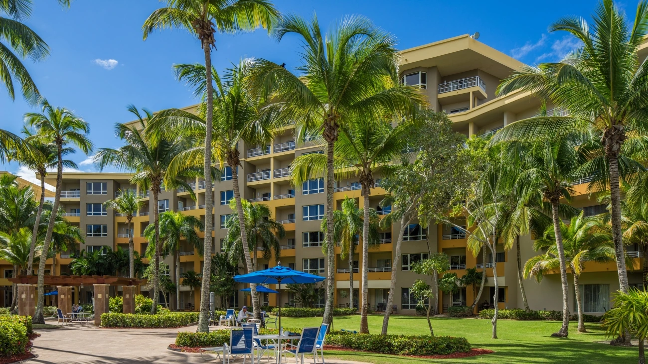 Resort surrounded by palm trees with tables, umbrellas, and a pergola