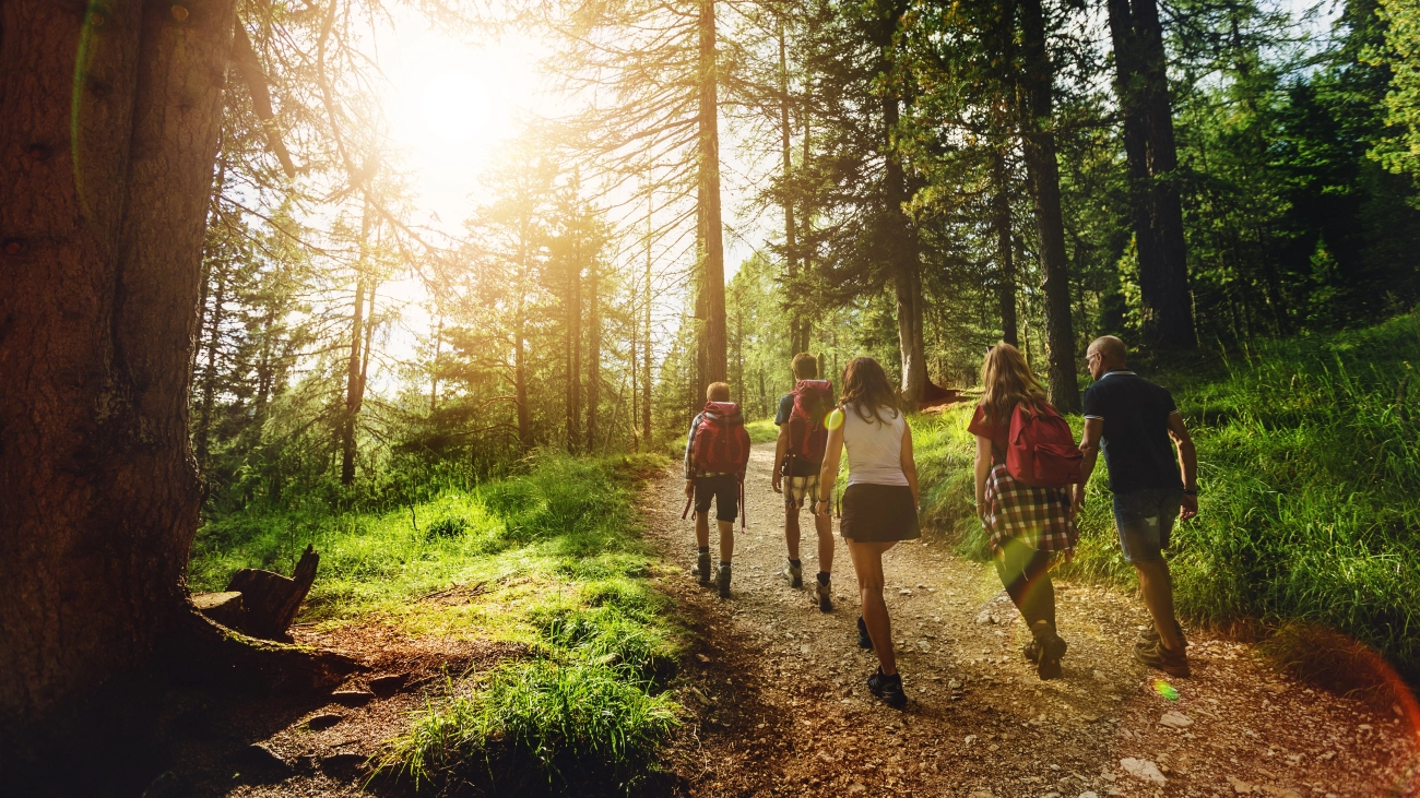 Group of people hiking along a scenic forest trail