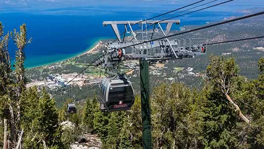 Gondola ski lift climbs a tree-lined mountainside